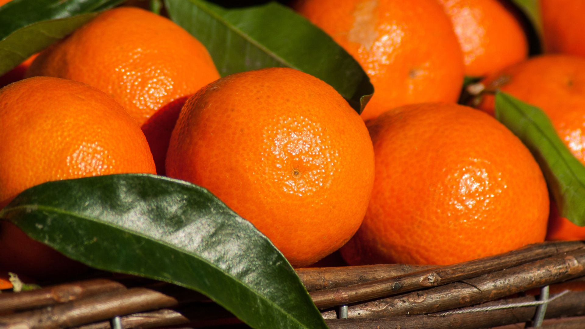 Klementynka a mandarynka różnice
